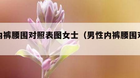 男内裤腰围对照表图女士（男性内裤腰围对照表）