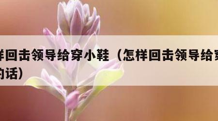 怎样回击领导给穿小鞋（怎样回击领导给穿小鞋的话）