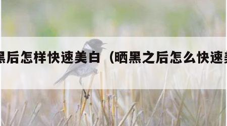 晒黑后怎样快速美白（晒黑之后怎么快速美白）