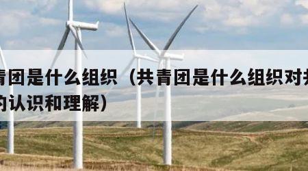 共青团是什么组织（共青团是什么组织对共青团的认识和理解）