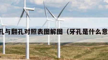 牙孔与翻孔对照表图解图（牙孔是什么意思）
