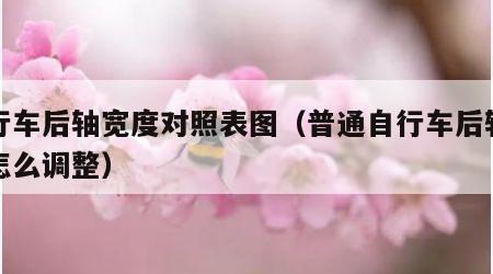 自行车后轴宽度对照表图（普通自行车后轴间隙怎么调整）