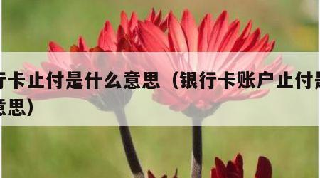 银行卡止付是什么意思（银行卡账户止付是什么意思）