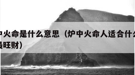 炉中火命是什么意思（炉中火命人适合什么行业最旺财）