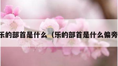 乐的部首是什么（乐的部首是什么偏旁）
