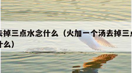 汤去掉三点水念什么（火加一个汤去掉三点水念什么）