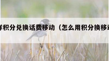 怎样积分兑换话费移动（怎么用积分换移动话费）