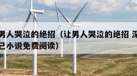 让男人哭泣的绝招（让男人哭泣的绝招 深井结己小说免费阅读）