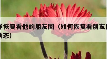 怎样恢复看他的朋友圈（如何恢复看朋友圈朋友动态）