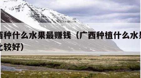 广西种什么水果最赚钱（广西种植什么水果前景比较好）