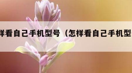 怎样看自己手机型号（怎样看自己手机型号?）