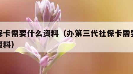 社保卡需要什么资料（办第三代社保卡需要什么资料）