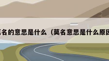 莫名的意思是什么（莫名意思是什么原因）