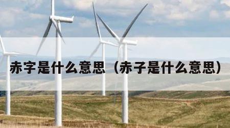 赤字是什么意思（赤子是什么意思）