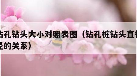 桩钻孔钻头大小对照表图（钻孔桩钻头直径和桩径的关系）