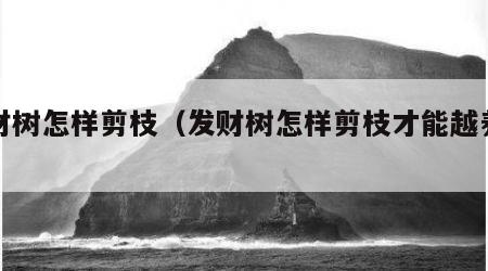 发财树怎样剪枝（发财树怎样剪枝才能越养越旺）