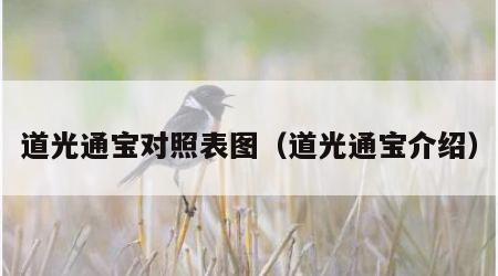 道光通宝对照表图（道光通宝介绍）