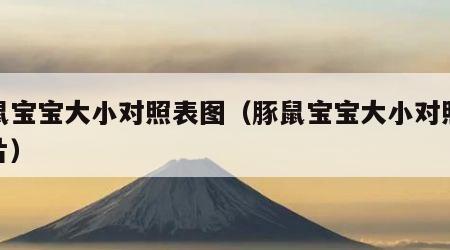 豚鼠宝宝大小对照表图（豚鼠宝宝大小对照表图片）