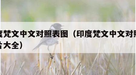 印度梵文中文对照表图（印度梵文中文对照表图片大全）