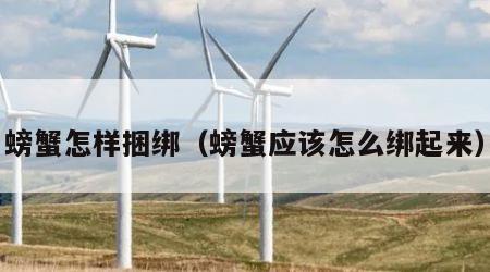 螃蟹怎样捆绑（螃蟹应该怎么绑起来）