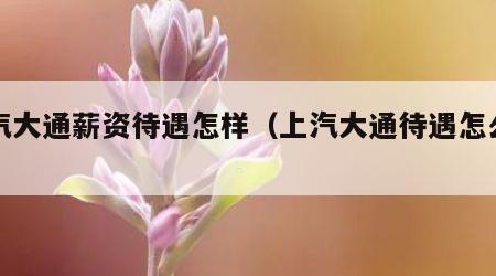 上汽大通薪资待遇怎样（上汽大通待遇怎么样?）