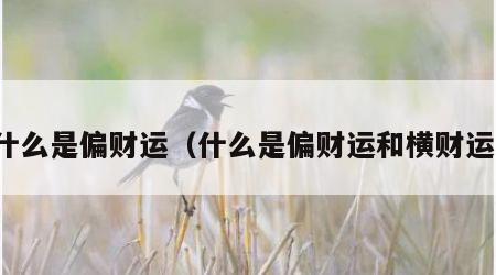 什么是偏财运（什么是偏财运和横财运）