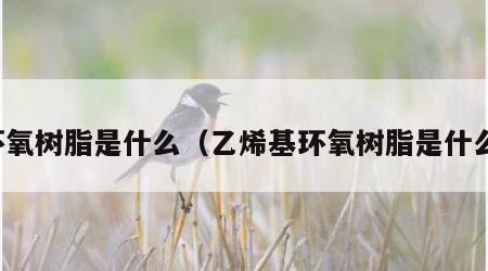 环氧树脂是什么（乙烯基环氧树脂是什么）