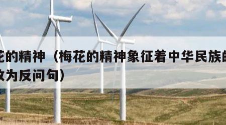 梅花的精神（梅花的精神象征着中华民族的精神改为反问句）