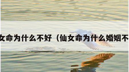 仙女命为什么不好（仙女命为什么婚姻不好）