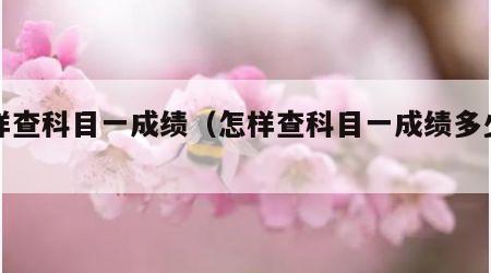 怎样查科目一成绩（怎样查科目一成绩多少分）