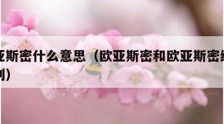 欧亚斯密什么意思（欧亚斯密和欧亚斯密纳塞区别）