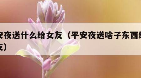 平安夜送什么给女友（平安夜送啥子东西给女朋友）