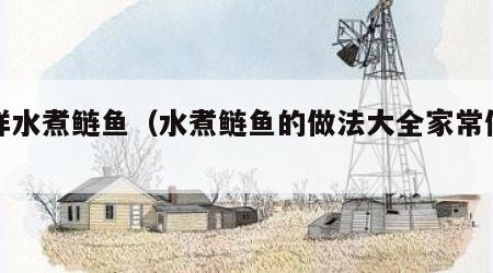 怎样水煮鲢鱼（水煮鲢鱼的做法大全家常做法）