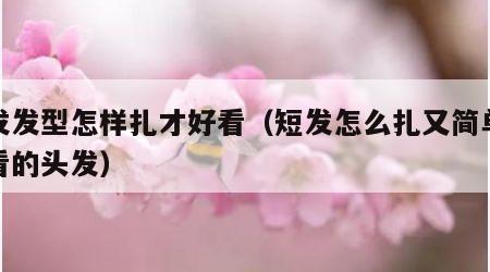短发发型怎样扎才好看（短发怎么扎又简单又好看的头发）