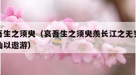 哀吾生之须臾（哀吾生之须臾羡长江之无穷挟飞仙以遨游）