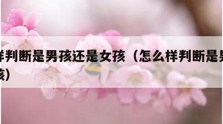 怎样判断是男孩还是女孩（怎么样判断是男孩女孩）