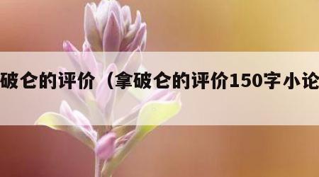 拿破仑的评价（拿破仑的评价150字小论文）
