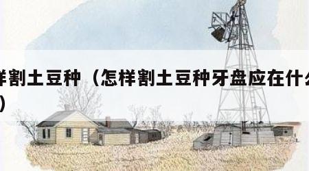 怎样割土豆种（怎样割土豆种牙盘应在什么部位?）