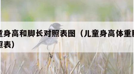 儿童身高和脚长对照表图（儿童身高体重脚长对照表）