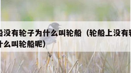 轮船没有轮子为什么叫轮船（轮船上没有轮子为什么叫轮船呢）