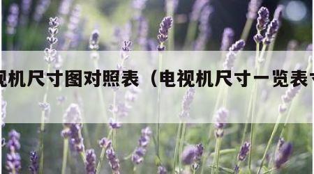 电视机尺寸图对照表（电视机尺寸一览表寸长宽）