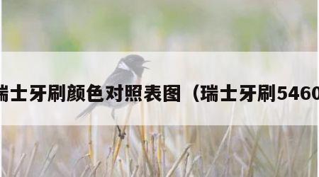 瑞士牙刷颜色对照表图（瑞士牙刷5460）