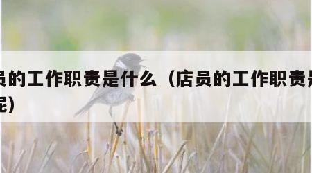 店员的工作职责是什么（店员的工作职责是什么呢）