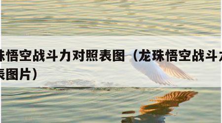 龙珠悟空战斗力对照表图（龙珠悟空战斗力对照表图片）