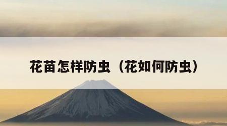 花苗怎样防虫（花如何防虫）