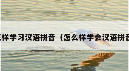 怎样学习汉语拼音（怎么样学会汉语拼音）
