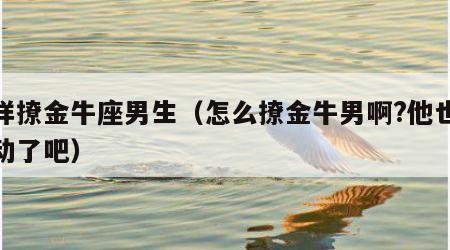 怎样撩金牛座男生（怎么撩金牛男啊?他也太被动了吧）