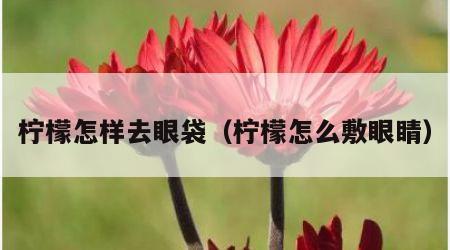 柠檬怎样去眼袋（柠檬怎么敷眼睛）