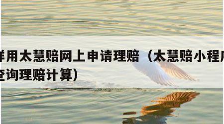怎样用太慧赔网上申请理赔（太慧赔小程序怎么查询理赔计算）