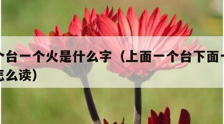 一个台一个火是什么字（上面一个台下面一个火怎么读）